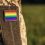 Donald Trump Just Asked SCOTUS To End the Trans Military Circus Once and For All